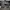 Converse Chuck Taylor All Star '70 High Top – Leather Editio photo 5