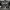 Converse Chuck Taylor All Star '70 High Top – Leather Editio photo 4