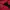 The North Face Streetwear Hoody Pria red photo 6
