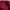 The North Face Streetwear Hoody Pria red photo 4