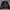 Dickies Detroit Jacket Black
 photo 2
