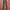 Levi's  photo 1