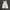 Japanese vest brand photo 1