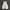 Japanese Vest Brand