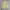 Yellow Oversize Boxy Knitwear photo 1