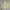 Yellow Oversize Boxy Knitwear