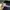 Gucci Sunglasses photo 4