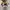 Vans Vault Old Skool Cap LX Regrind Brown Multi Original photo 5