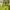 Vintage Chrisitian Dior Oblique Jackquard Green Totebag Auth
