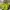 Vintage Chrisitian Dior Oblique Jackquard green Totebag auth photo 1