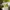 Vintage Chrisitian Dior Oblique Jackquard green Totebag auth photo 7