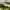 Vintage Chrisitian Dior Oblique Jackquard green Totebag auth photo 5
