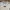 Supreme x Maison Margiela Box Logo White photo 3
