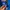 ADIDAS EURO BLUE  photo 4