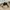 Vintage Coogi 3D Pattern Knitted photo 6