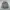 Fieldcore softshell camo size L H124 photo 6