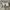 Dickies Work Pants Khakis photo 2