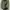 GAP AVIATOR JACKET photo 5