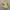Vans Authentic 44 DX Anaheim Factory Yellow Original photo 1
