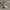 Nike acg photo 4