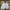 Lecoq Sportif tennis shorts photo 1