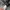 Find out sporty camo shorts photo 4