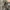 MILITARY JAKET PARKA COEN HIJAU ARMY TEBAL photo 5