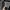 Theory Hooded greated cotton jacket photo 4
