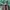 Emporio Armani  jacket in green photo 5