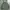 Emporio Armani  Jacket In Green