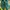 Puma palermo green yellow photo 5