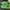 Puma palermo green yellow photo 3