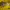 Pancoat Streetwear Casual Hoody Pria yellow photo 3