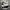 Adidas superstar  photo 1