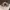 bicycle glasses large vintage - black and gray photo 1