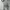 MLB Sportswear Casual Casual shirt Pria gray photo 3