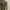 Casual Trench coat Wanita green photo 2