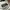 Polo Shirt Ralph Lauren Black Watch White Second Original