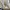 Polo Shirt Ralph Lauren Black Watch White Second Original photo 3