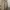 Trench Coat Max&co photo 2