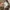 Trench Coat Max&co photo 4
