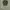 M65 vintage Outer Flyn jungle photo 4