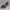 Manolo Blahnik Hangisi Grey Satin Jewel Buckle Pumps Grey photo 5