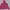Jaket Sport Running Lightweight Uniqlo Pocketable Pink  photo 2