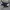 y2k carpenter simer amore puro photo 5