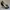 Christian Louboutin New Very Privé 120 mm Platform pumps photo 3