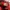 Nike Kyrie Flytrap 2 EP bright crimson photo 5