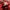 Nike Kyrie Flytrap 2 EP bright crimson photo 6