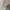 UNIQLO T-Shirt Sweater Crewneck Atasan Waffle Lengan Panjang photo 3