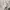 UNIQLO T-Shirt Sweater Crewneck Atasan Waffle Lengan Panjang photo 5